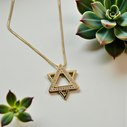 Colar Estrela de Davi Microzircônias
