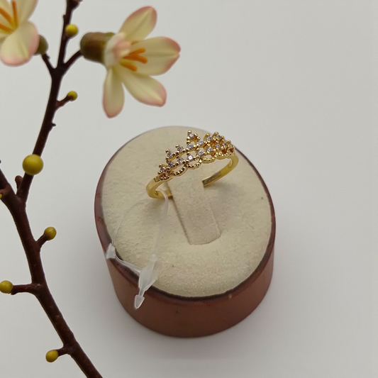 Anel Coroa Microzircônias