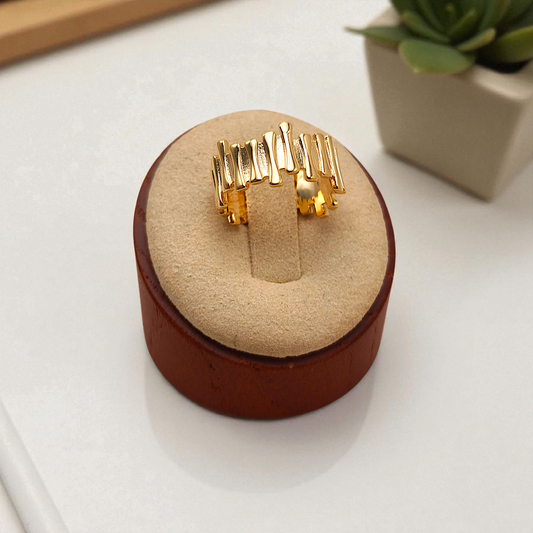 Anel Orgânico Regulável Gravetos