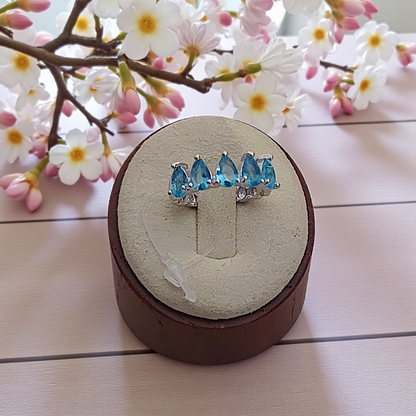 Anel Gotas Sequenciais Zircônias